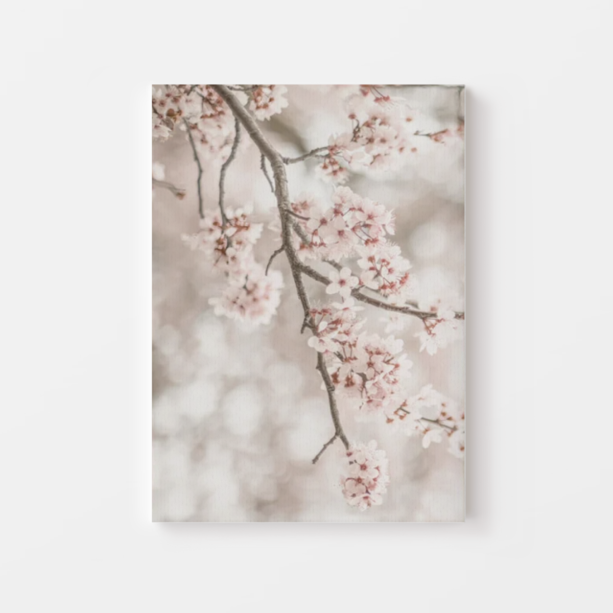 Bright Cherry Blossom Canvas