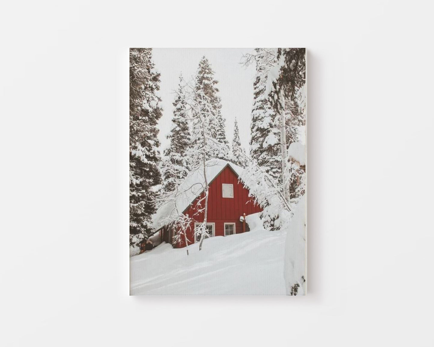 Winter Cherry Canvas - Canva Home