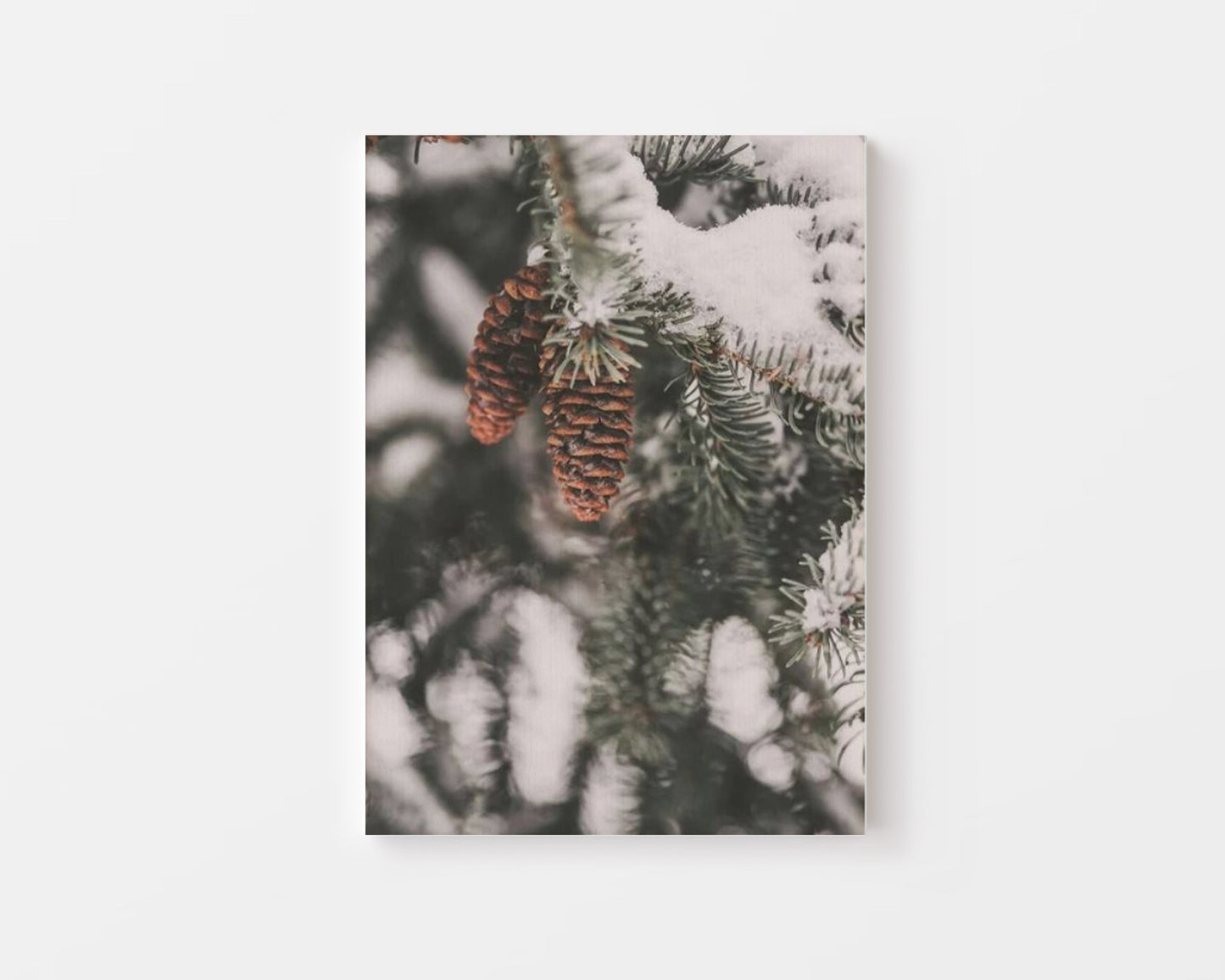 Winter Cherry Canvas - Canva Home