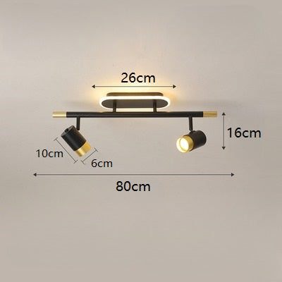 Fixed Track Ceiling Lamp Light