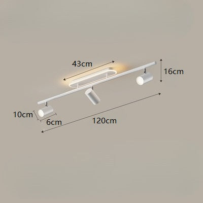 Fixed Track Ceiling Lamp Light