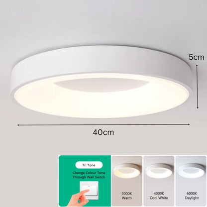 Circle Minimalist Ceiling Lamp Light