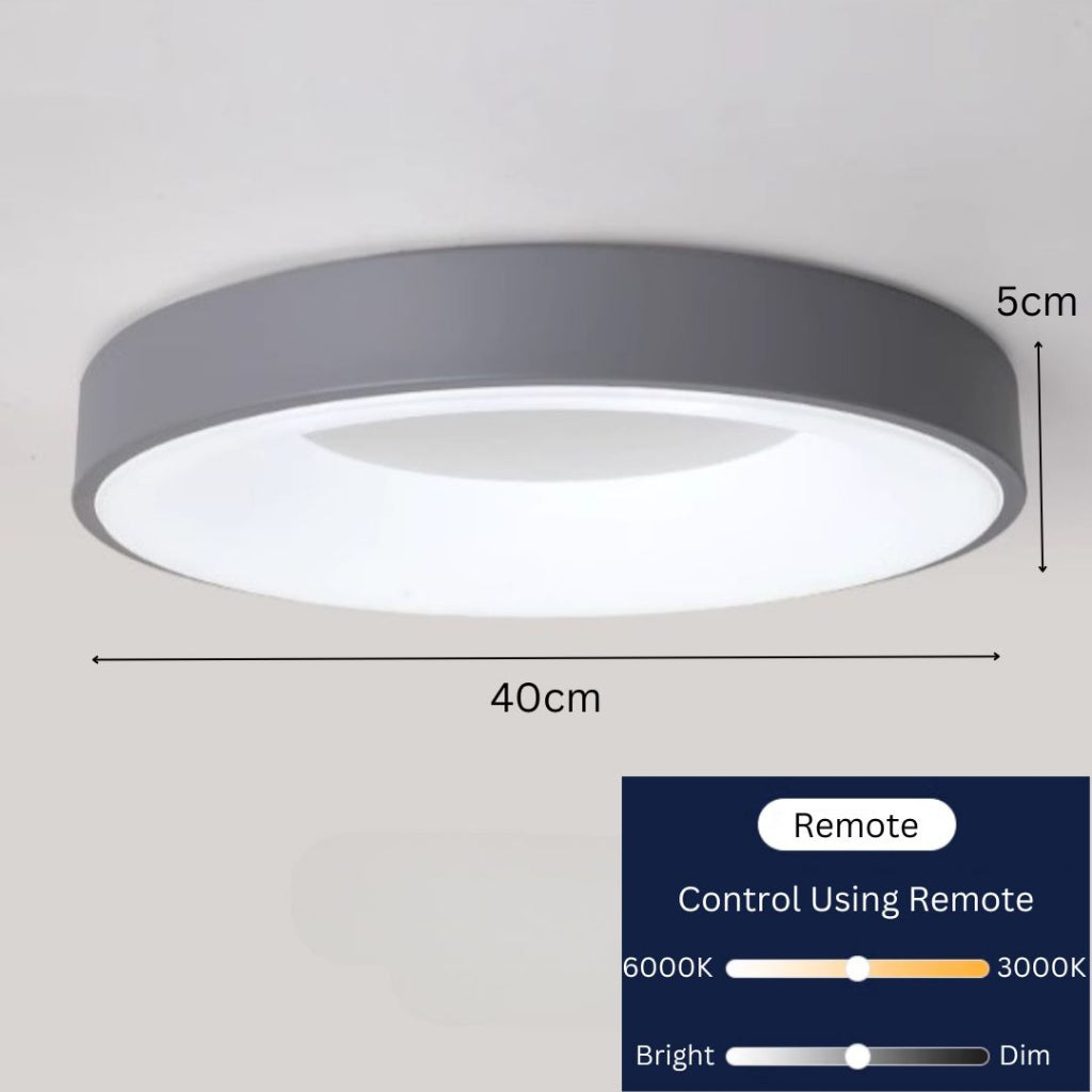 Circle Minimalist Ceiling Lamp Light