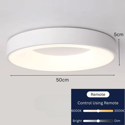 Circle Minimalist Ceiling Lamp Light